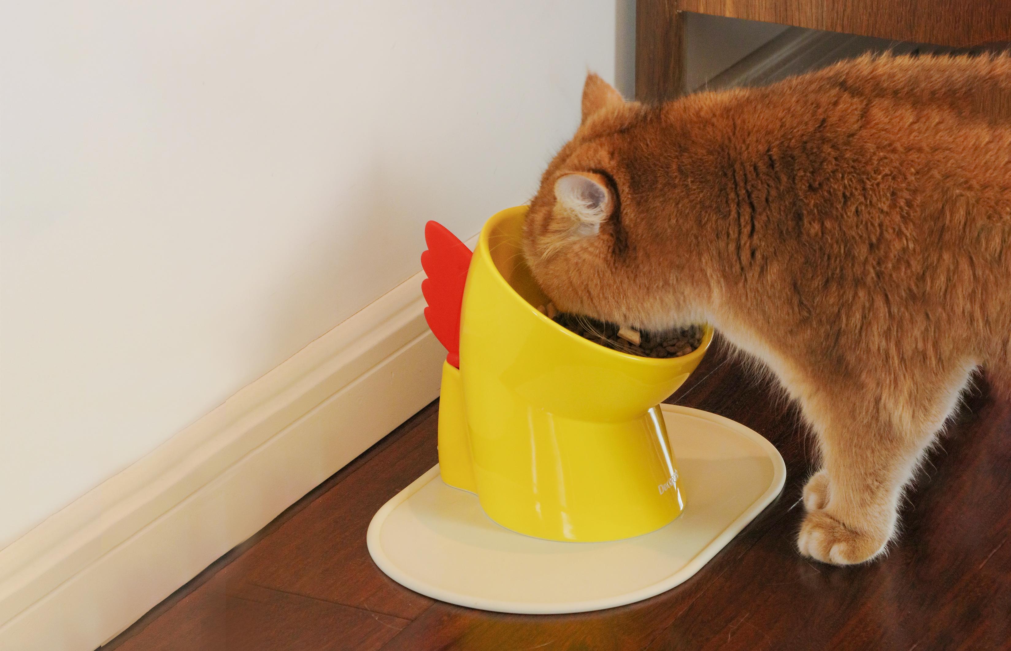 Community Cat Gallery