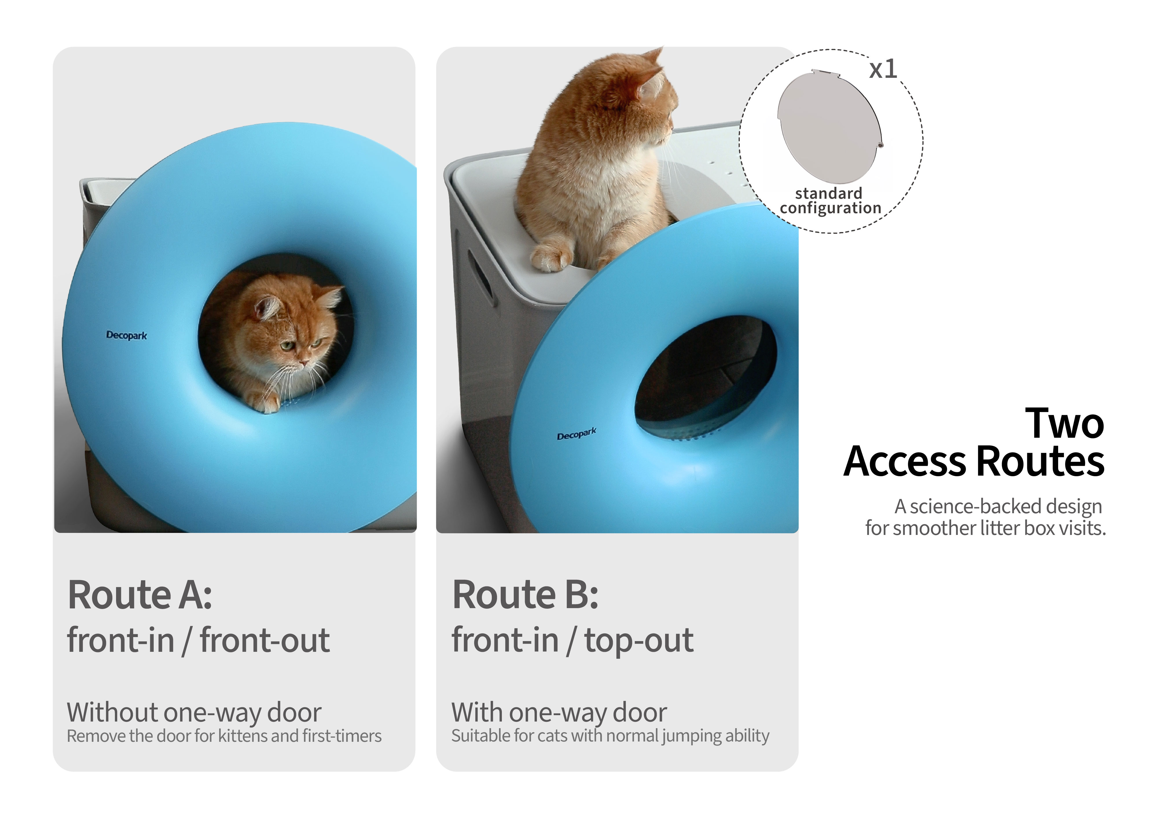 Black Hole Cat Litter Box