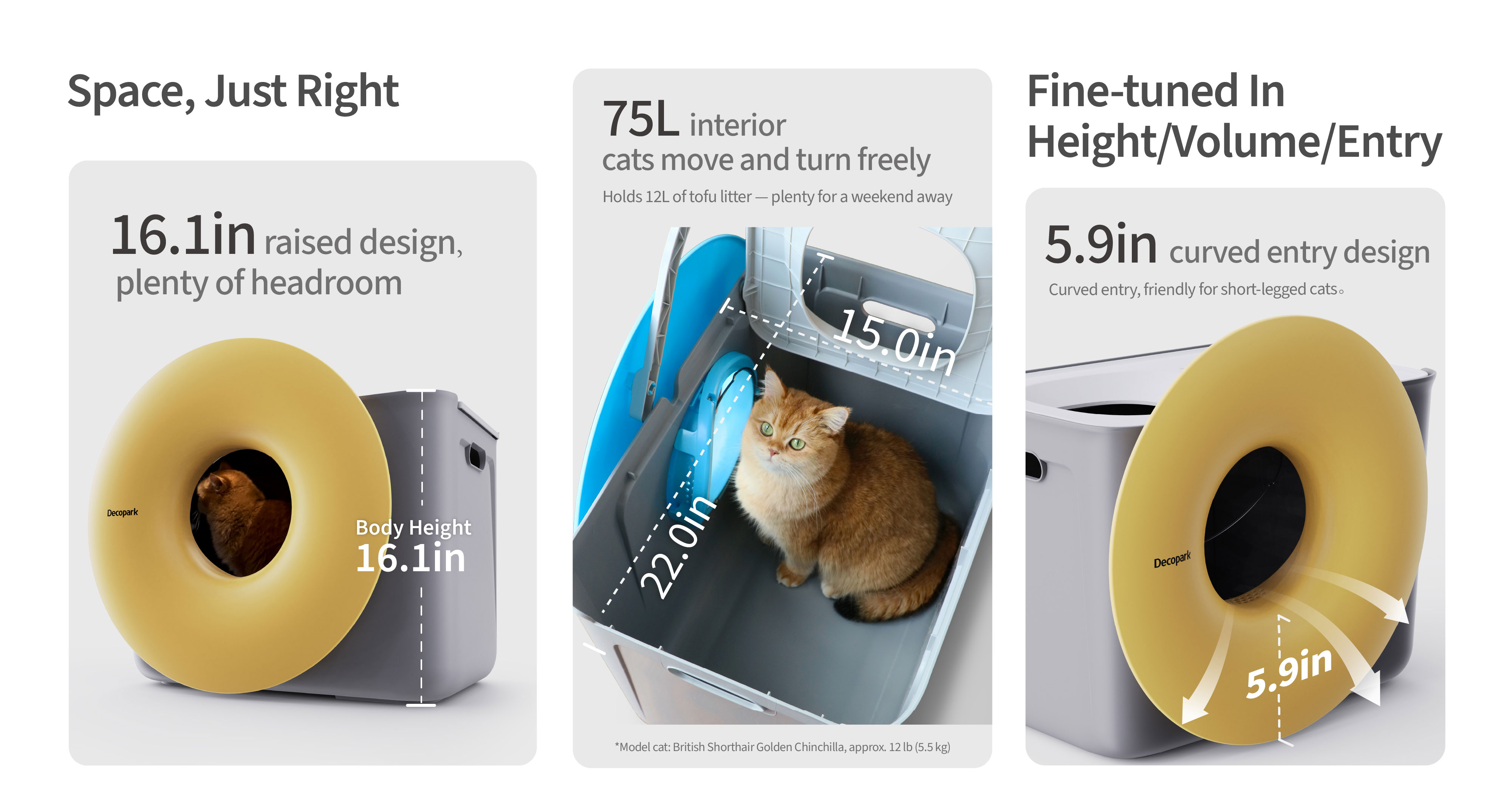 Black Hole Cat Litter Box