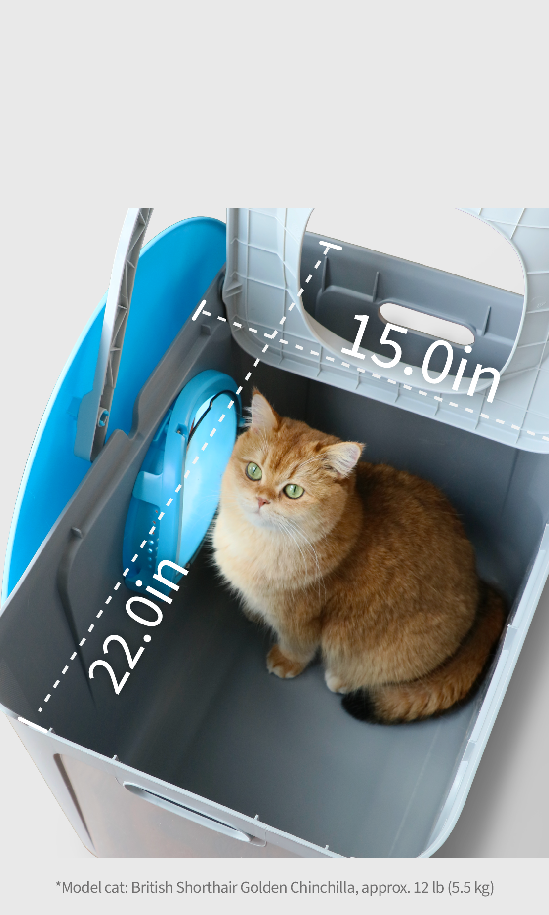 75L interior space with a cat inside