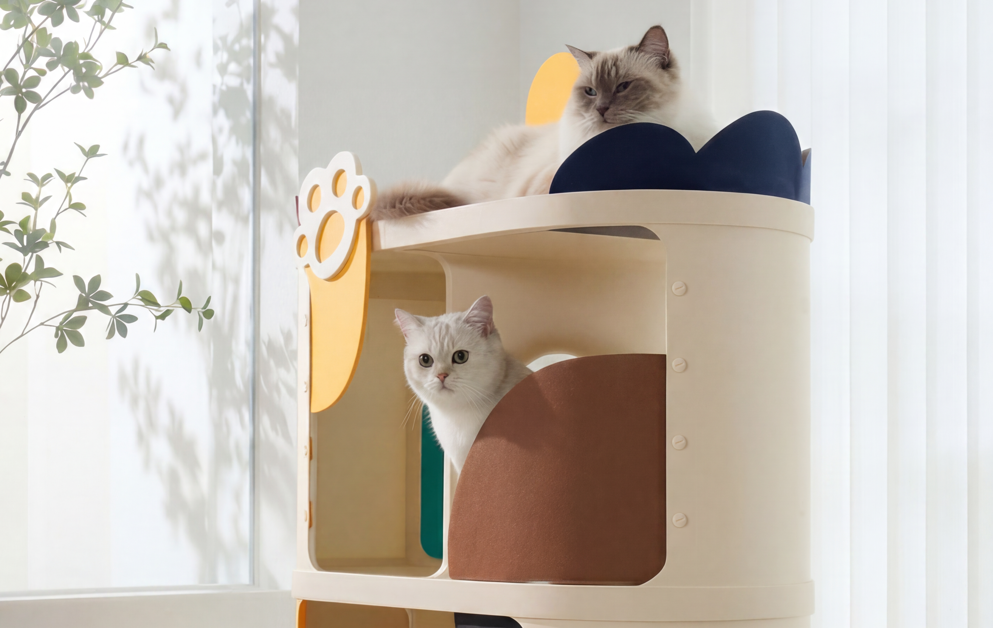 Cat Condo Gallery