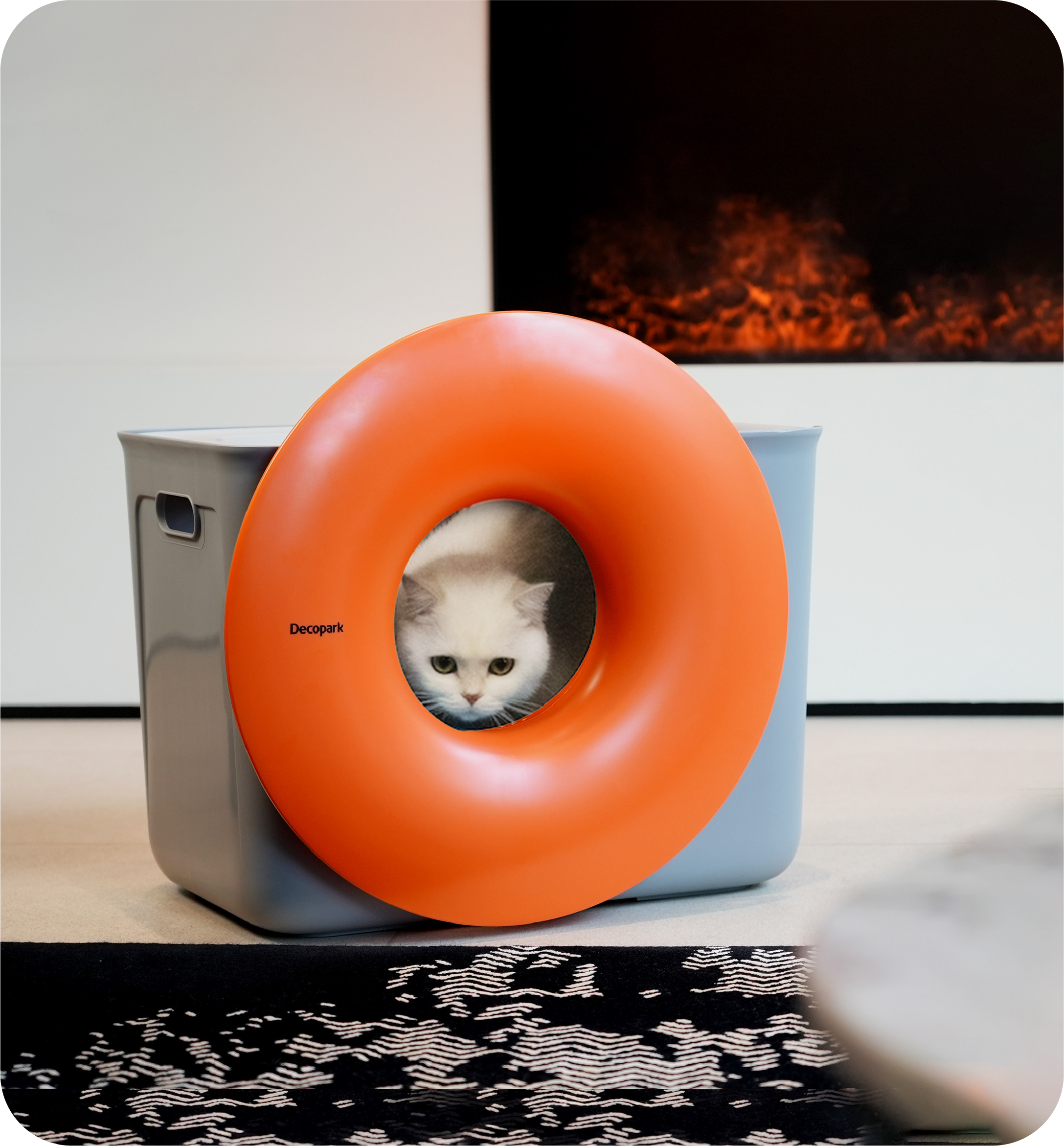 Black Hole Cat Litter Box